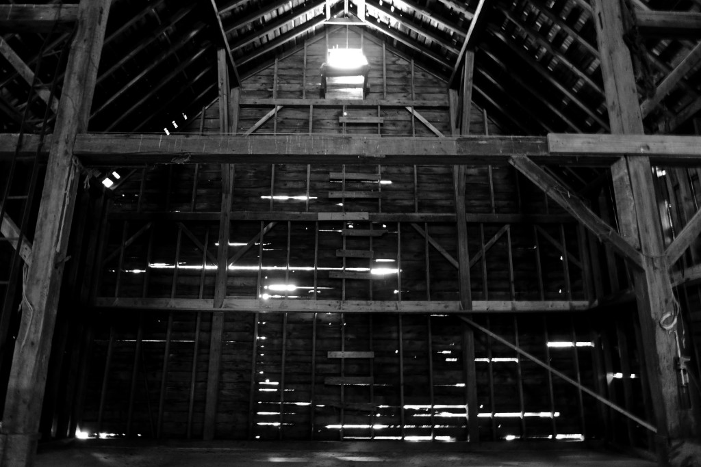 Old Barn 1 (1 of 1)