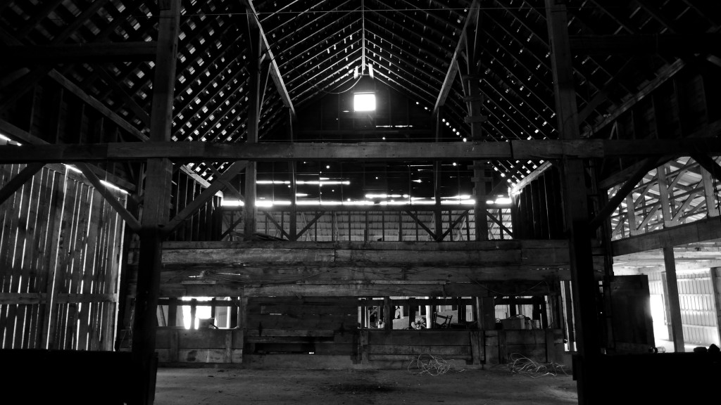 Old Barn 2 (1 of 1)
