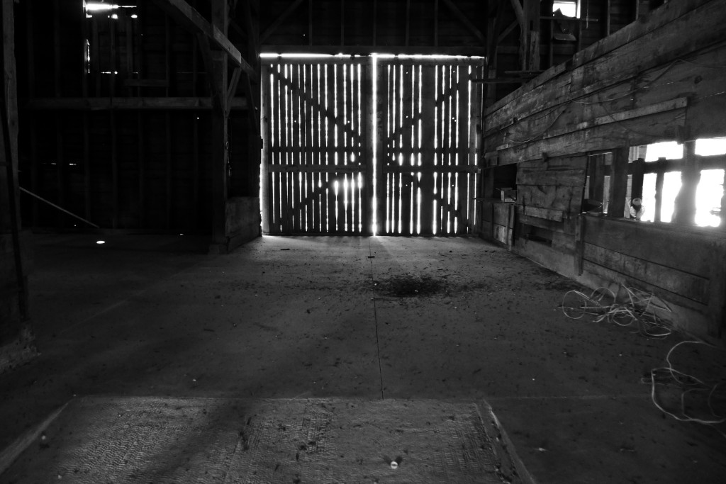 Old Barn 3 (1 of 1)